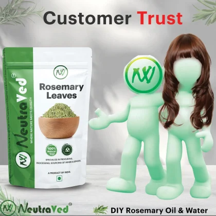 Rosemary Leaves+Comb Applicator+Mist Spray Bottle+Neem Comb image 5